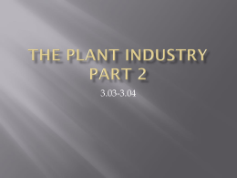 The Plant industry part 2