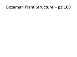 Plant Structure and Transport