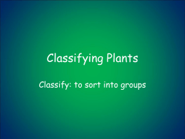 Classifying Plants coach