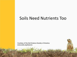 Soils Need Nutrients Too
