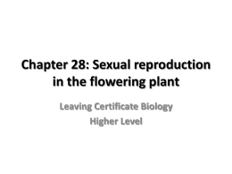 Sexual Reproduction in the Flowering Plant