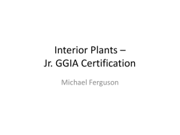 Interior Plants GGIA Jrx