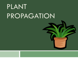 Notes- Plant Propagation