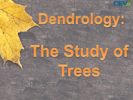 Dendrology - Montgomery County Schools