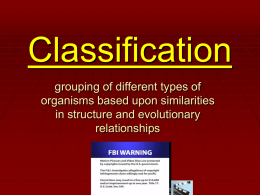 Classification - Net Start Class