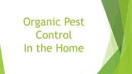 organic pest control in the home