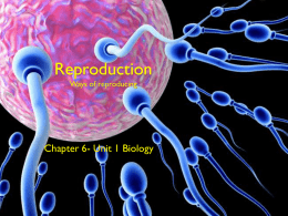 Reproduction Chapter 6 x - SandyBiology1-2