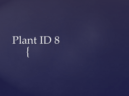 Plant ID 8