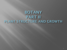 Botany Part II Plant Structure and Growth