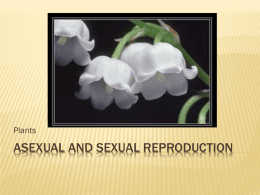 Asexual and sexual reproductionx