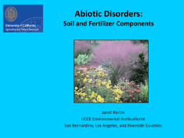 Abiotic Disorders Presentation Part II