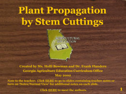 Propagation of Plants by Cuttings