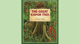 The Great Kapok Tree - Delaware Access Project