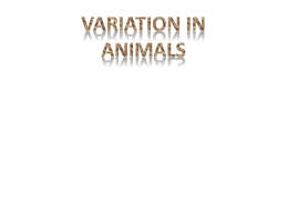 grouping_animals_variation