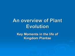 Overview of Plant Evolution