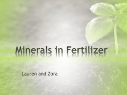 Minerals in Fertilizerx