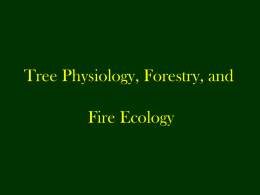 Tree Physiology, Forestry and Fire Ecology