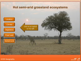 Hot semi-arid grassland ecosystem