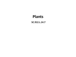 14.7 Plants