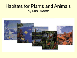 PowerPoint used for Habitat Unit