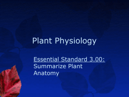 Horticulture I- Unit B 3.00 Plant Physiologyx