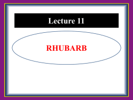 L-11_Rhubarb.ppsx