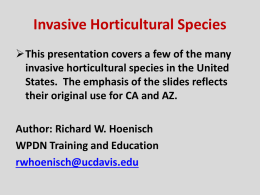 Invasive Horticultural Species
