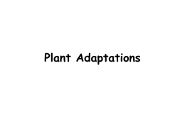 PLANT ADAPTIONS