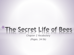 The Secret Life of Bees Definition