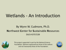 Wetlands – An Introduction