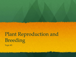 Plant Reproduction and Breeding