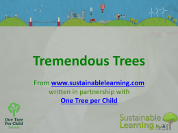 - Sustainable Learning