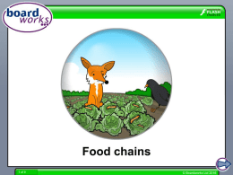 Food chains - Boardworks