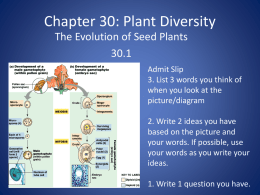 Chapter 30: Plant Diversity