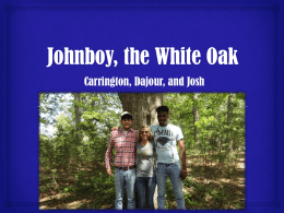 Johnboy, the White Oakx