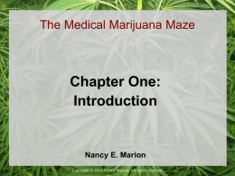 The Medical Marijuana Maze Sampl..
