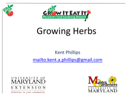 Herbs - University of Maryland Extension