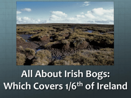 IrishBogPresentations