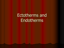 Ectotherms and Endotherms