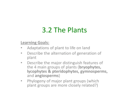 3.2 The Plants File