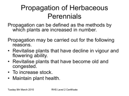 Propagation of Herbaceous Perennials