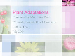Plant Adaptations - 5th Grade Garner