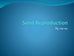 Seed Reproduction