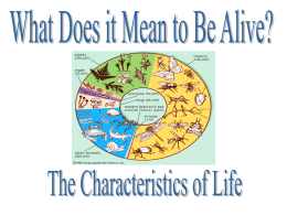2. Characteristics of Life(7)