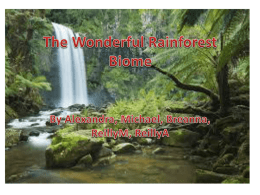 The Wonderful Rain Forest Biome