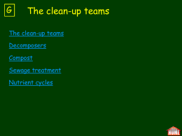 G The clean-up teams - Papanui High School