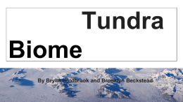 Tundra Biome – Brooklyn and Brylie