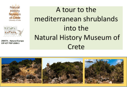 Scrubland ecosystems in Crete