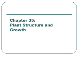 35 Plant Structure