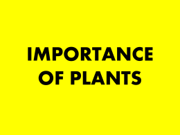 Importance of Plants Notes